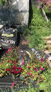 South ashland florist נמצא בashland. Bet S Greenhouse Home Facebook