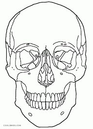 There's something for everyone from beginners to the advanced. Large Skull Coloring Page Coloring Home