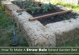 Delia repurposed pallet materials for this. Diy Straw Bale Raised Garden Bed Raised Garden Raised Garden Beds Diy Straw