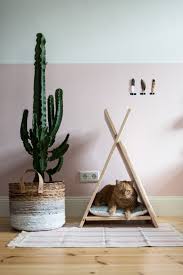 But this is not the usual, boring cat scratcher that you are thinking of right now, but a cactus shaped one. Diy Katzentipi Schlafplatz Und Kratzmobel In Einem Craftifair Animal Room Pet Furniture Cat Diy
