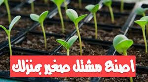 اصنع مشتل صغير بمنزلك Plants Herbs Farm