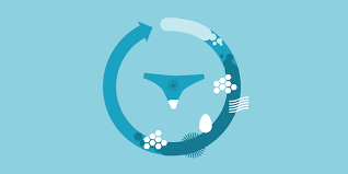 Having a creamy vaginal mucus on the 10 th day after ovulation is a strong sign of being pregnant. What Your Vaginal Discharge Means Cervical Mucus And Cervical Fluid 101