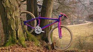 Kleinfreundeweimar Klein Attitude Horizon Es Wird Fruhling Fahrrad Design Retro Fahrrad Fahrrad Kunst
