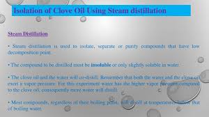 Extracting Essential Oils From Spices Using Steam Distillation