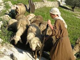 4.0 out of 5 stars ok. The Lord Is My Shepherd Freiburg Anglican Church