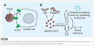Howstuffworks.com contributors sars (severe acute respiratory syndrome) originated in animals and made the leap from. Sport Exercise And Covid 19 The Disease Caused By The Sars Cov 2 Coronavirus