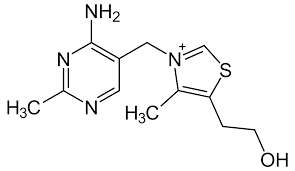 Bei langzeitbehandlung mit furosemid kann ein thiamindefizit durch vermehrte renale ausscheidung entstehen. Thiamin Wikipedia
