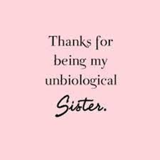 Best Funny Caption For Sister Birthday 108 Sister Quotes And Funny Sayings With Images Law Quotes Sister In Law Quotes Sister Quotes