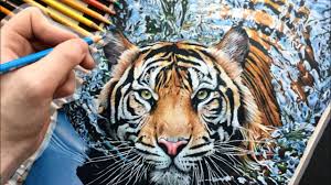 How to draw a realistic tiger,. Hyper Realistic Tiger Drawing 100 Hours Youtube
