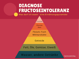 Von fructoseintoleranz betroffene menschen müssen weniger fruchtzucker zu sich nehmen, um der intestinalen fructoseintoleranz kann nicht vorgebeugt werden. Fructosefreie Ernahrungspyramide Diagnose Fructoseintoleranz Ernahrung Fruktosefrei Rezepte Fruktoseintoleranz