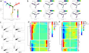 Blacklist 2 gallery 3 trivia 4 see also the hk416 was designed as an improved version of the m4 carbine. Single Cell Transcriptomic Analysis Reveals Molecular Diversity Of Human Oligodendrocyte Progenitor Cells Biorxiv