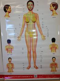 Guasha Massage Chart Frontal Female Guasha Cupping