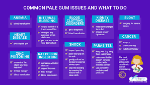 Brown vomit that smells like poop, yellow liquid no one likes to see their dog vomiting. Pale Gums In Dogs What It Means And What To Do