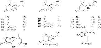 Image result for Antidesma membranaceum