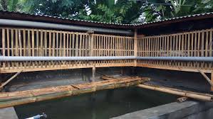 68 Desain Desain Kandang Ayam Diatas Kolam Ikan Apriani Ternak Ayam Diatas Kolam Lele Buktipers Kandangayamkreatif Kand Kandang Ayam Kolam Ikan Ternak Ayam