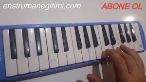 Mini Mini Bir Kus Melodika Notalari Enstruman Egitimi