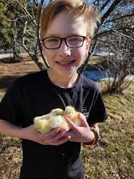 Tofield 4-H Beef &amp; Multi Club 2025 by Caribou Publishing