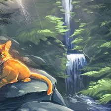 Firestar Warrior Cats