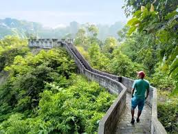 Semuanya diatas satu sebab yang sama, suasana yang nyaman dan sejuk. Rekomendasi 9 Tempat Wisata Di Bukittinggi Terbaik Tokopedia Blog