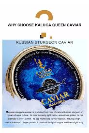 This sturgeon caviar comes at a very reasonable price. Vacuum Packing Packaging Russian Black Caviar Sturgeon Eggs Price Buy Russian Sturgeon Tin Can Russian Sturgeon Seeds Sturgeon Eggs Price Product On Alibaba Com