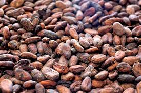 Usually labeled as just cocoa or unsweetened cocoa powder, natural cocoa is light in color, acidic, and can have a sharp flavor. Apa Bedanya Cacao Dan Cocoa Paprika Living