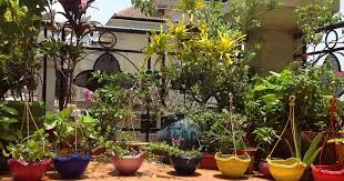 Hangende Korbe In Meinem Kleinen Balkon Garten Ideen Baum Kleiner Balkon Garten Balkongarten Kleiner Balkon