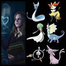 Hermione Granger Team Harry Potter Series