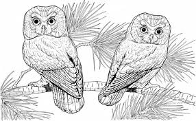 Hard coloring pages of animals. Printable Hard Coloring Page Animal Coloring Home