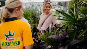 Before you plant your bulbs prepare the soil with kings organic compost and kings sheep pellets. Five Tips From The Experts To Keep Your Garden Hydrated This Summer Stuff Co Nz