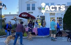 Flatbread Fundraiser Community Bake — ACTS