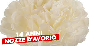 Se la vostra zona è male con ad esempio, una festa di nozze di zinco si verifica quando la coppia viveva insieme 6, 5 anni. Idee Per Festeggiare Le Nozze D Avorio