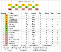 + = needs this pollinizer to set fruit for pollination with plum cross varieties, beauty will, (and most japanese plum varieties may) cross pollinate with the plum cross, or interspecific, varieties. Kieffer Pear Pears Forum At Permies