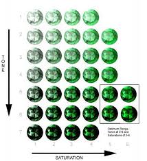 The Definitive Tsavorite Buying Guide