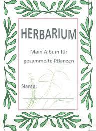 Herbarium kostenlose vorlagen / herbarium deckblatt zum ausdrucken. Deckblatt Herbarium