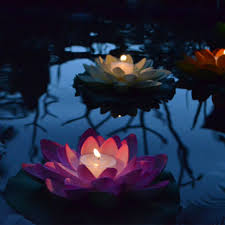 We did not find results for: Floating Lotus Flower Candle Floating Flower Lanternshop Com Au