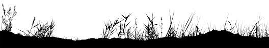Grass Png Silhouette Clip Art Image Silhouette Clip Art Art Images Clip Art