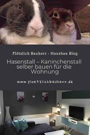 Ich studiere hier an der uni. Hasenstall Kaninchenstall Selber Bauen Fur Die Wohnung