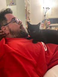 Adopt one year old female vocal and loving cat