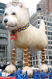 Maybe you would like to learn more about one of these? Trixie The Bouncing Dog Macy S Thanksgiving Day Parade Wiki Fandom