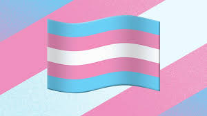 The lgbtq community generally celebrates pride, diversity, individuality, and sexuality. Emoji Keep Getting More Inclusive So Why Is There No Trans Pride Flag Trans Pride Flag Trans Pride Trans Flag