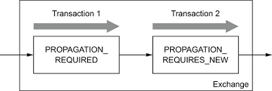 A duplicate message would have the exchange property org.apache.camel.exchange#duplicate_message set to a boolean#true value. Chapter 12 Transactions And Idempotency Camel In Action