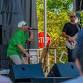 Chronic Flannel live at Buddy & Pals CP event image