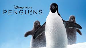 Even penguin eggs must be kept warm to hatch. Mr Popper S Penguins Official Trailer Fox Family Entertainment Youtube
