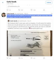 Us Ambassador Accused Of Undermining Democracy By Supporting Trump S Electoral Fraud Allegations The Post