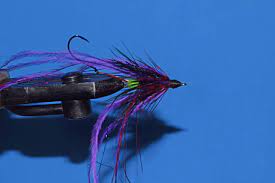 Maybe you would like to learn more about one of these? Fish Taco Steelheader S Journal