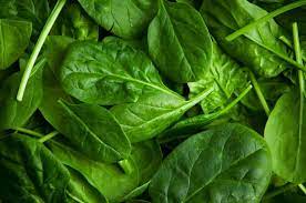 Many plants with leaves that are consumed in small quantities as a spice such as oregano, for medicinal purposes such as lime, or used in infusions such as tea. Oh King Of Edible Leaves His Majesty The Spinach Successiontv
