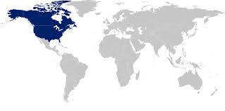 Next race of the 36th america's cup match presented by prada. Find The Right Finance Career For You With Bank Of America