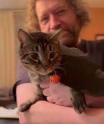 RIP Suzie Sue who crossed the rainbow bridge after a short but well fought  illness. Just a baby at 6 years old. Only 7 months after losing Alfie  (unrelated illness) feeling a