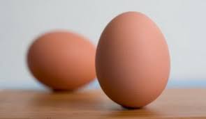 Los huevos son uno de los alimentos más comunes en todas las casas, ya que sirven para elaborar una infinidad de platos y recetas. Tecnicas Basicas De Cocina Cocinando Huevos I