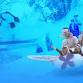 Warren Miller's Sno-ciety